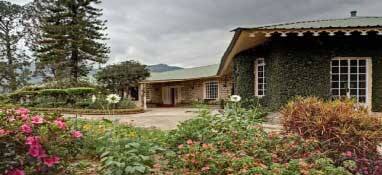 Briar Tea Bungalows, Idukki 1